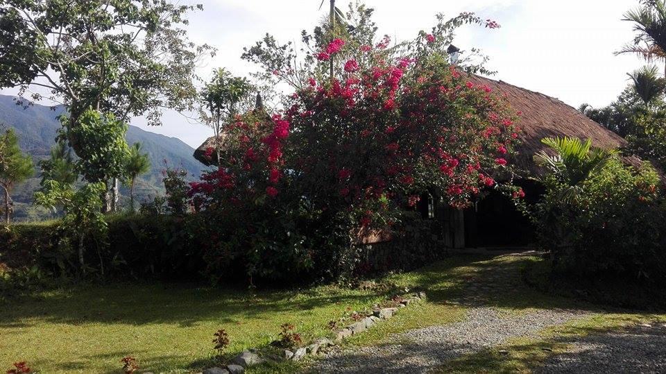 Native Village Inn Banaue Exterior foto