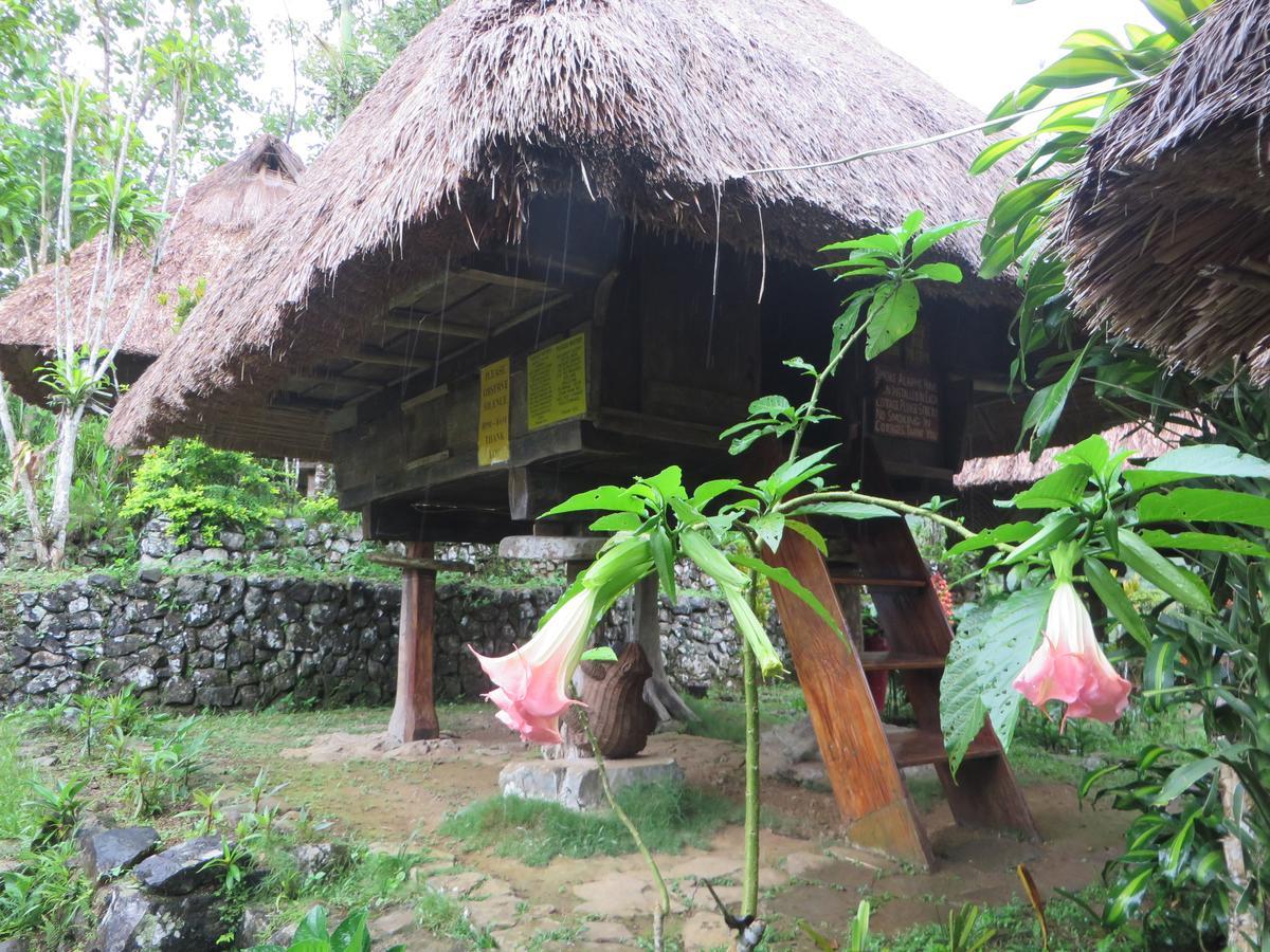 Native Village Inn Banaue Exterior foto